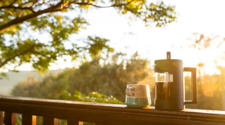 醫者之橋 (The Bridge of Healing)