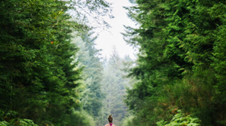 Encouragement for New Interpreters: Embrace the Journey